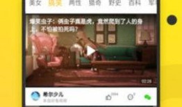 食客吐槽蜜瓜的爆料视频,蜜瓜变“炸弹瓜”？食客爆料视频揭露惊人真相！