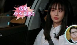 郑爽的爆料视频在线观看,揭秘娱乐圈内幕与个人情感纠葛