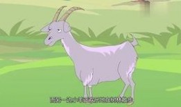 小羊和s姐最新爆料,揭秘娱乐圈幕后真相