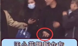 新爆料汪小菲视频播放全集,揭秘豪门背后的真实生活