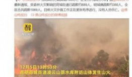 高明爆料视频,事件背后惊人真相