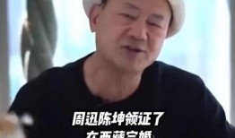 朱皮娱记最新爆料周迅,朱皮娱记独家揭秘