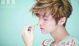 鹿晗最新消息爆料,揭秘他的神秘生活与未来计划