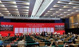 国伟爆料现场直播回放视频,现场直播回放视频背后的精彩瞬间