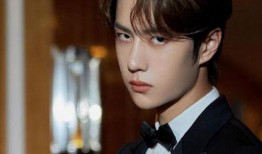 王一博快本导演爆料视频,幕后花絮与精彩瞬间