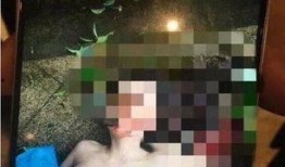 苏州爆料主播事件视频,网络直播界的争议漩涡