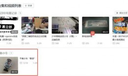仆人语音爆料视频大全,视频大全背后的惊人真相