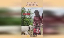 小羊和s姐最新爆料,揭秘娱乐圈幕后真相