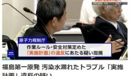日本东电员工爆料视频大全,核事故真相与内部黑幕大曝光”