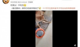 男网红吃瓜爆料视频