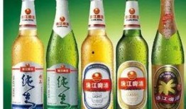 珠江啤酒爆料视频大全,揭秘品牌背后的故事与魅力