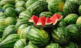 福山网红吃瓜事件,揭秘网络舆论的狂欢与反思