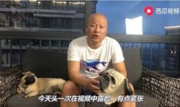 西瓜视频play爆料,揭秘热门视频背后的制作故事