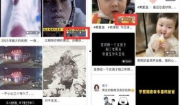 达哥现场爆料视频下载免费,揭秘幕后真相，免费下载独家内容