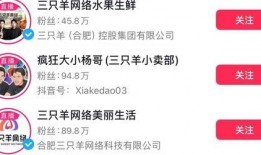 三只羊最新爆料消息,揭秘娱乐圈最新动态