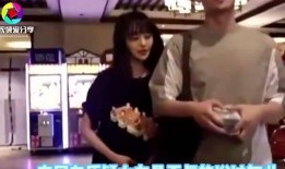 郑爽的爆料视频在线观看,揭秘娱乐圈内幕与个人情感纠葛