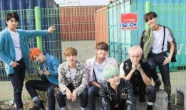 厦门娱乐爆料事件始末是什么,揭秘幕后真相与网络舆论风暴