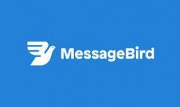 message在线观看,揭秘热门视频背后的故事