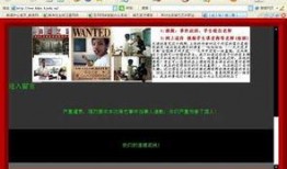 蓝翔老师爆料事件真相视频,真相背后的惊人内幕