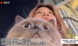 娱乐吃瓜猫原声
