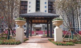 国伟爆料现场直播回放视频,现场直播回放视频背后的精彩瞬间