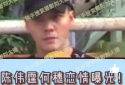 超模何穗爆料视频大全最新,超模生活幕后独家爆料