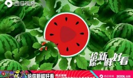 吃瓜娱乐封面怎么做的图片