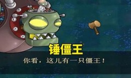 不同僵王的爆料视频,揭秘网络红人背后的秘密与争议