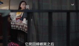 爆料小孩姐姐视频播放网站,小孩姐姐热门视频播放背后的秘密