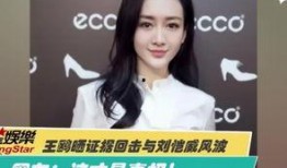 编剧爆料杨颖视频大全集,揭秘女神幕后故事