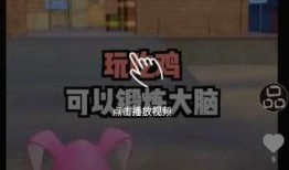 小蛙新世界爆料视频大全,揭秘视频大全背后的精彩瞬间