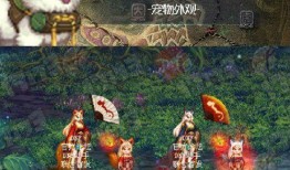 女娲宠物爆料视频大全集,揭秘神秘宠物背后的故事