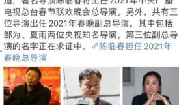 央视导演爆料视频下载,视频下载背后的秘密与挑战