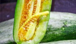 网红吃瓜的视频,揭秘娱乐圈幕后真相