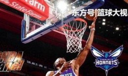 黄蜂爆料乔丹视频,乔丹经典瞬间视频曝光，篮球传奇再现风采