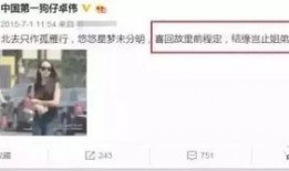 卓伟爆料过宋茜吗视频播放,卓伟爆料宋茜视频播放引发热议