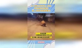 被爆料路人视角视频大全,揭秘生活百态视频大全