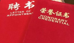 2017年爆料新闻,揭秘惊天秘密，震惊社会舆论