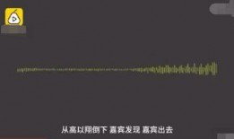 追我吧爆料视频大全下载,精彩瞬间回顾与幕后花絮大揭秘