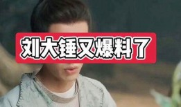 娱乐爆料大锤是谁啊视频,他是谁？