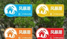 王阿姨深圳最新爆料视频,揭秘城市生活新动态