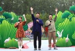 毒硬币最新爆料新闻视频,揭秘神秘视频背后的惊人真相