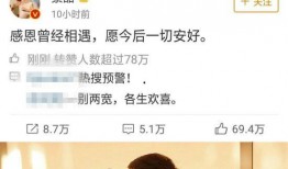 娱乐圈吃瓜汇总小说,揭秘明星背后的秘密与八卦