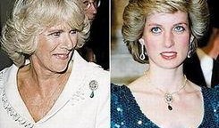 戴妃爆料蜥蜴人视频在线观看,揭秘蜥蜴人真实身份，震撼视频在线观看