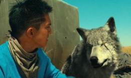 狼在线 高清在线观看,高清盛宴，尽享视觉盛宴之旅