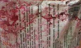 主播二哈被爆料视频大全,视频大全背后的真实故事