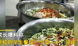 爆料咸菜视频大全集播放,揭秘网络爆红背后的精彩瞬间