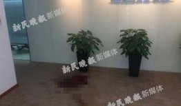 静安小区爆料事件视频播放,真相究竟如何？