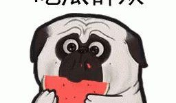 吃瓜发现我全家皆是大佬免费阅读,吃瓜发现全家皆是大佬的惊人故事