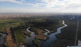 绿洲世界最新爆料新闻,神秘事件引发热议，真相即将揭晓！